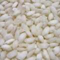 White rice
or milled rice*