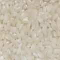 Medium grain white rice*